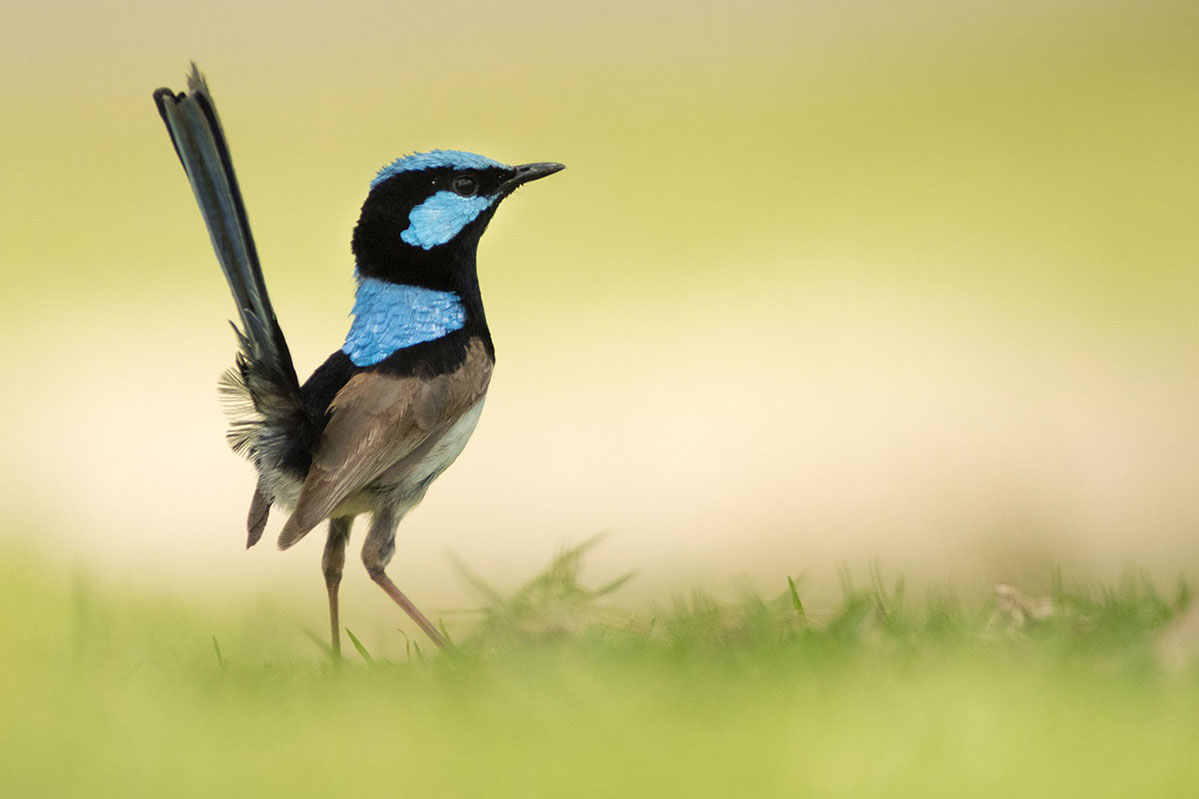 Top tips for the travelling photographer