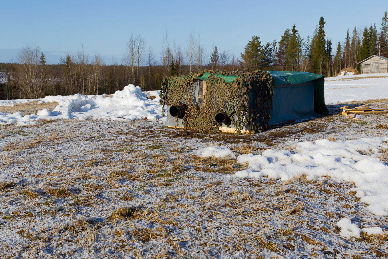 Black Grouse Hide SI12931